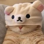 Avatar Evelyn Castillo